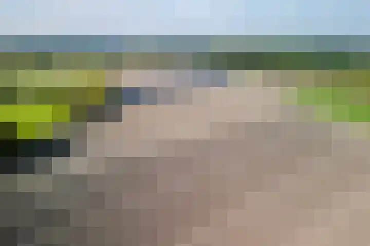Naaldakker 15 Lage Mierde thumbnail 69