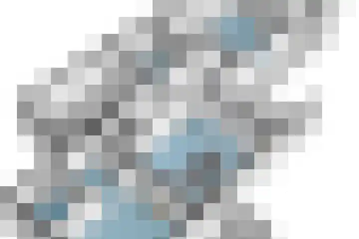 Naaldakker 15 Lage Mierde thumbnail 75