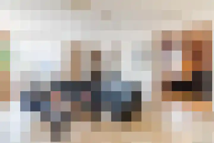 Naaldakker 15 Lage Mierde thumbnail 8