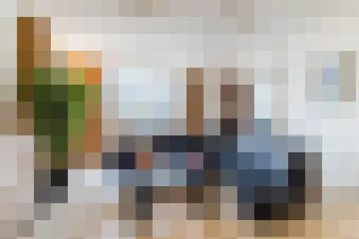 Naaldakker 15 Lage Mierde thumbnail 9
