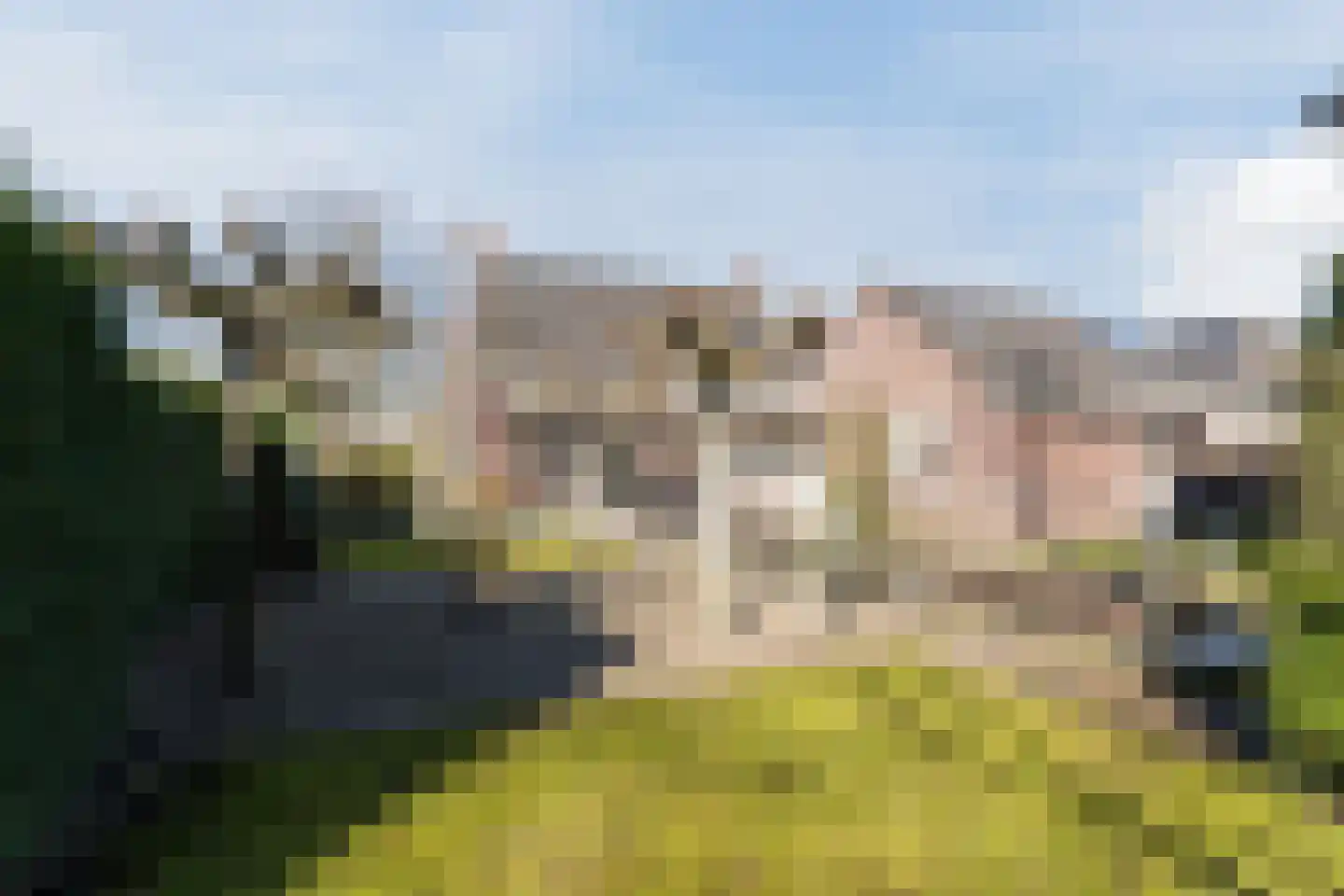 Naaldakker 21 Lage Mierde foto 2