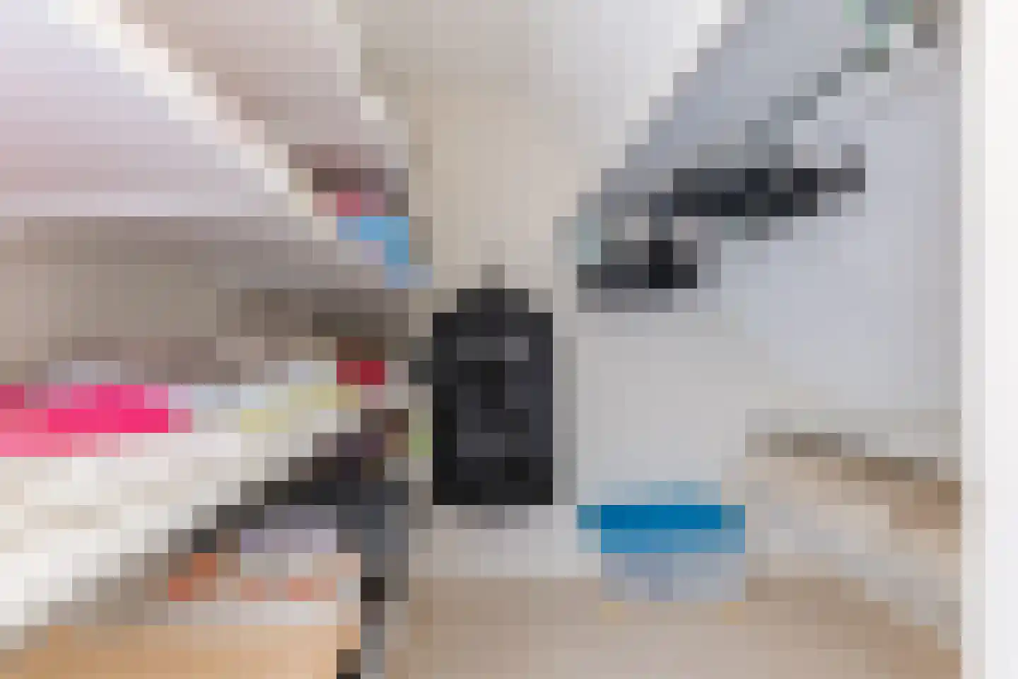 Naaldakker 21 Lage Mierde thumbnail 33