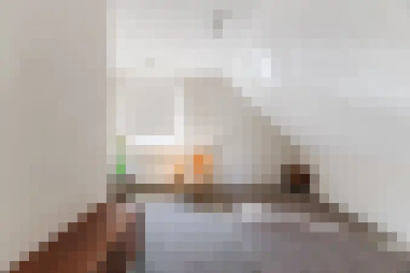 Naaldakker 21 Lage Mierde thumbnail 36