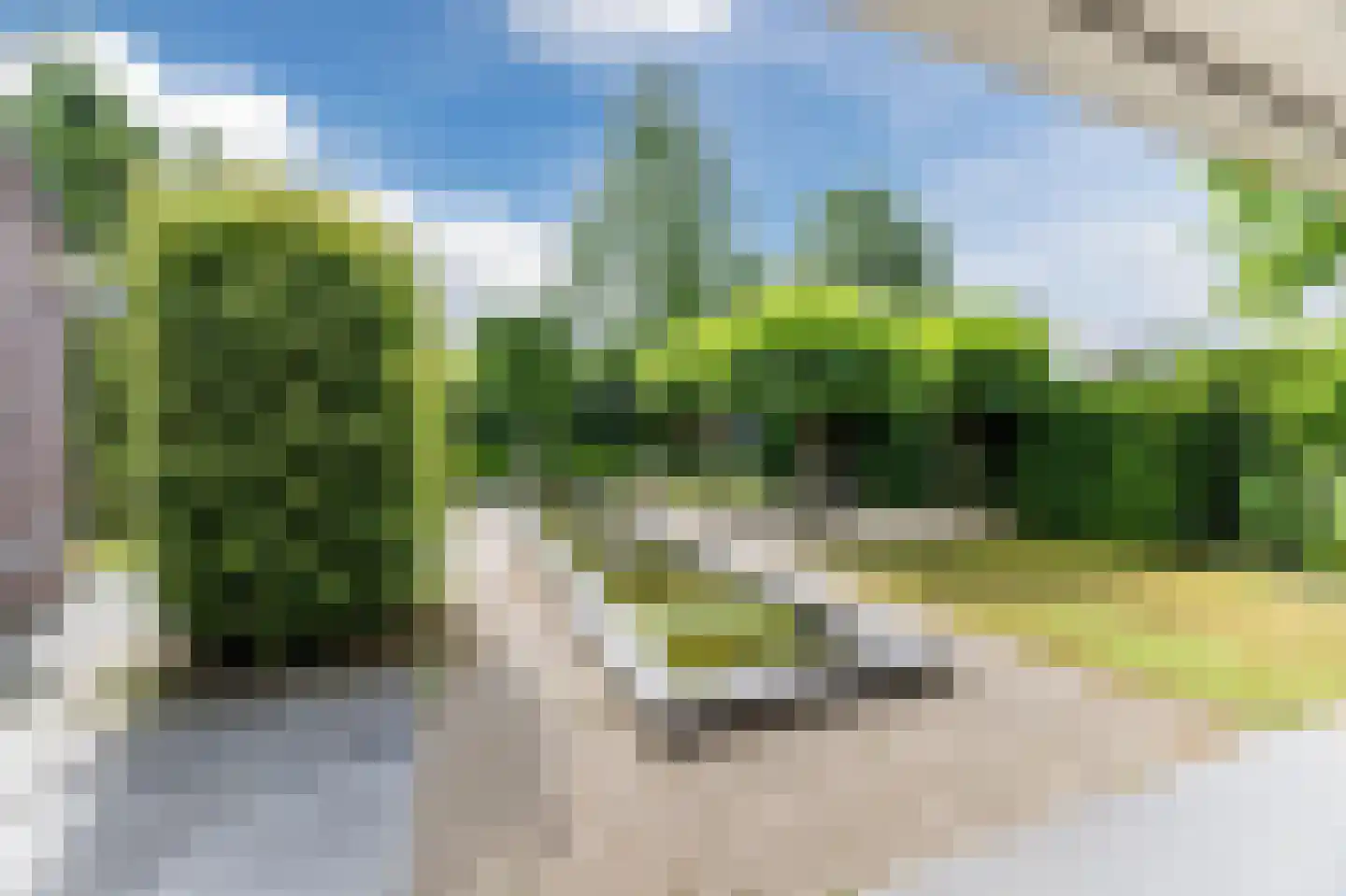 Naaldakker 21 Lage Mierde thumbnail 43