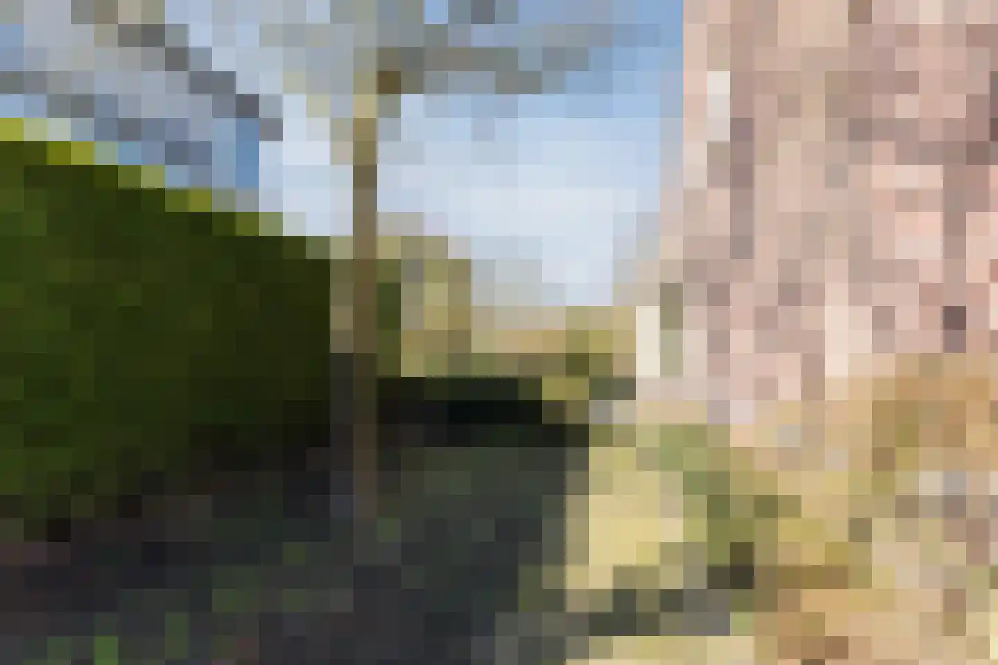 Naaldakker 21 Lage Mierde thumbnail 44