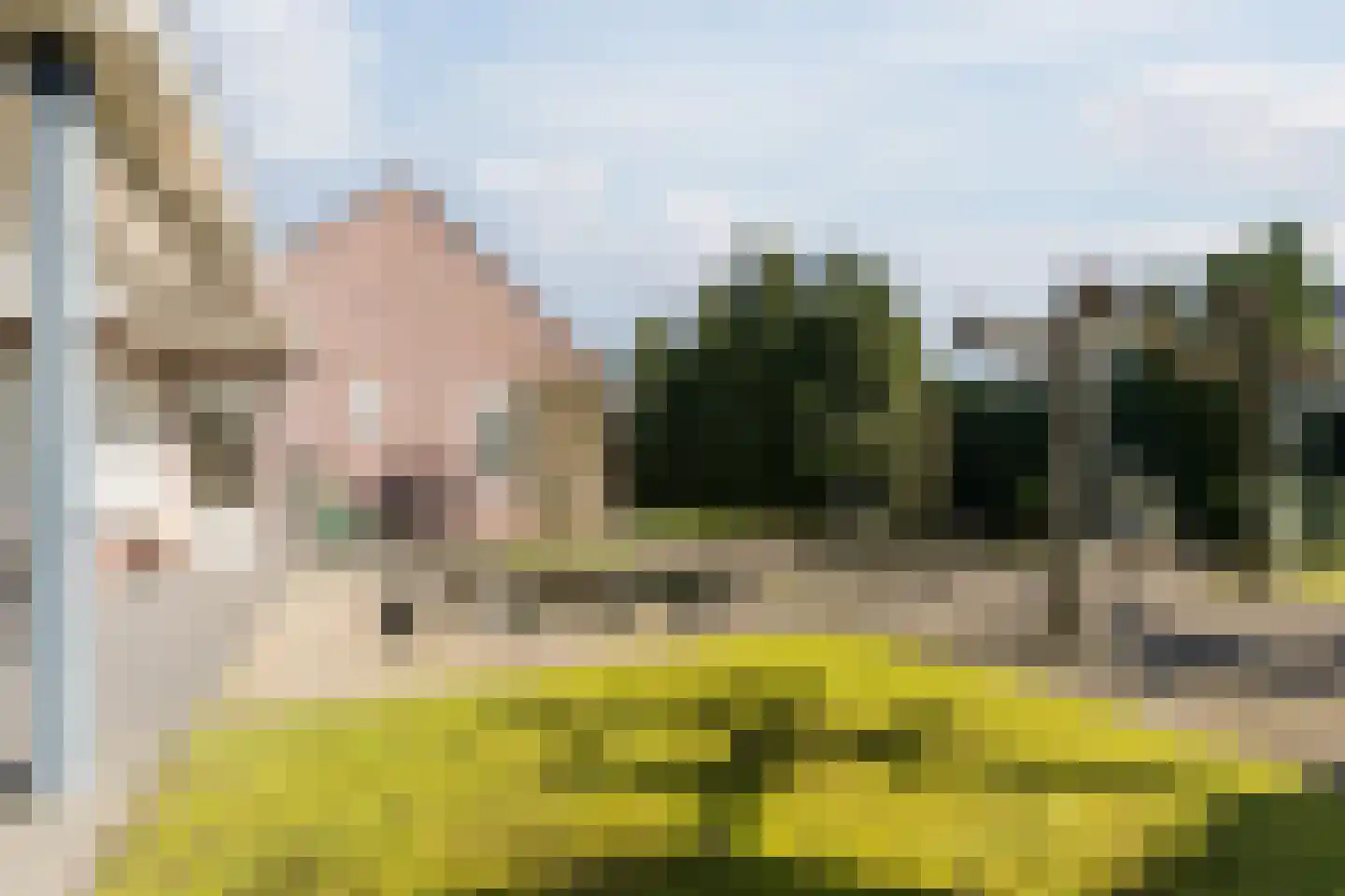 Naaldakker 21 Lage Mierde thumbnail 45