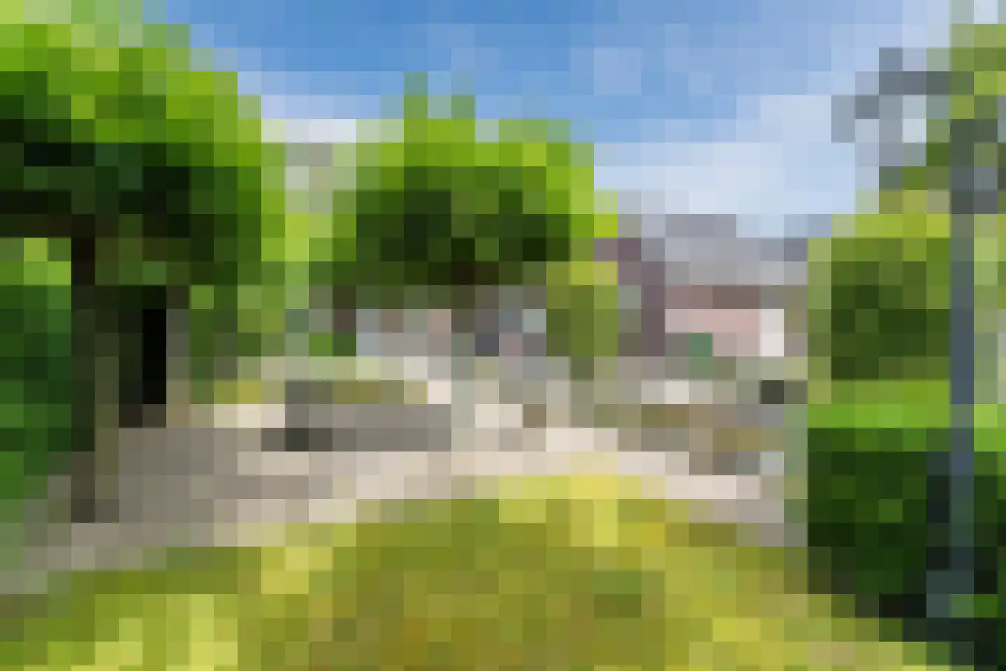 Naaldakker 21 Lage Mierde thumbnail 45
