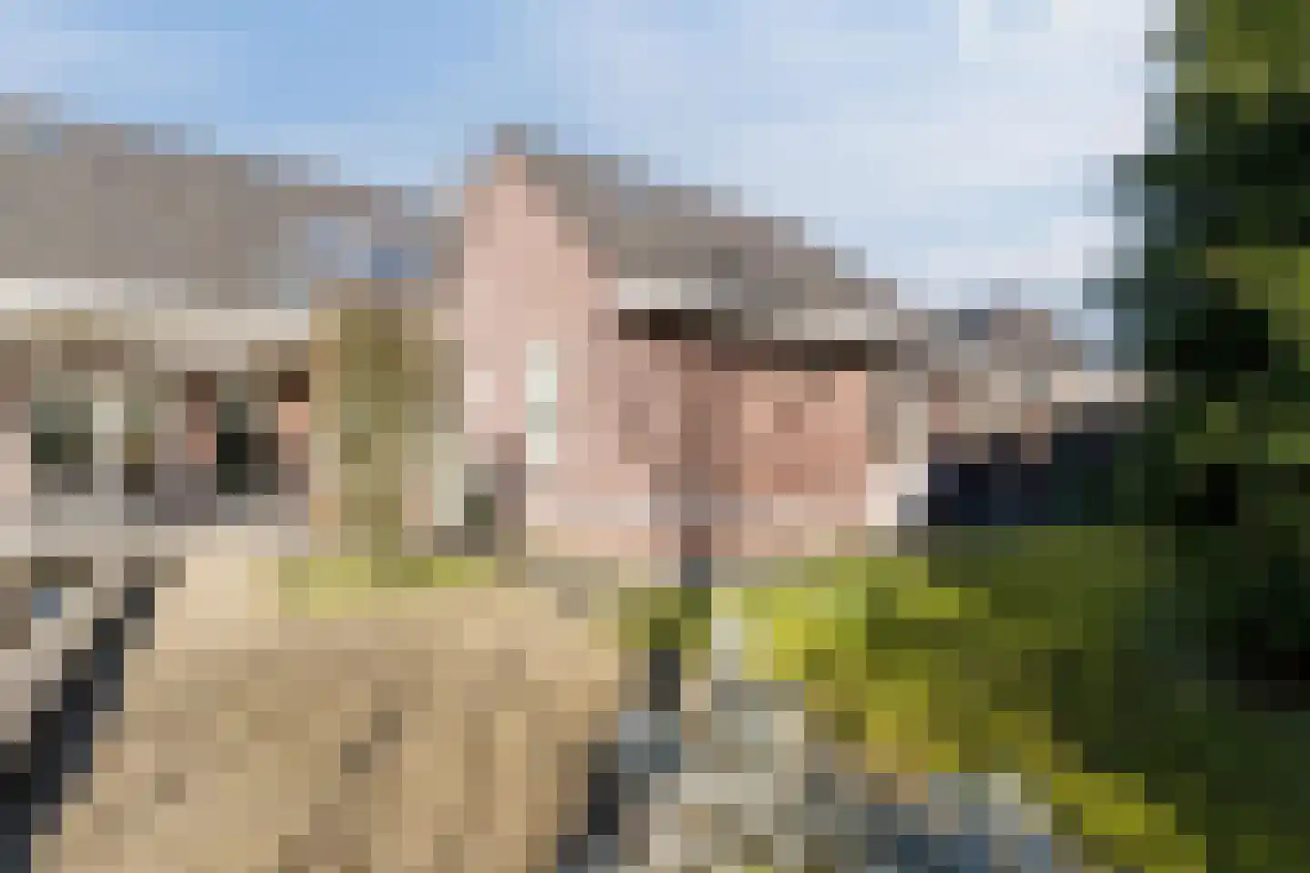 Naaldakker 21 Lage Mierde thumbnail 47