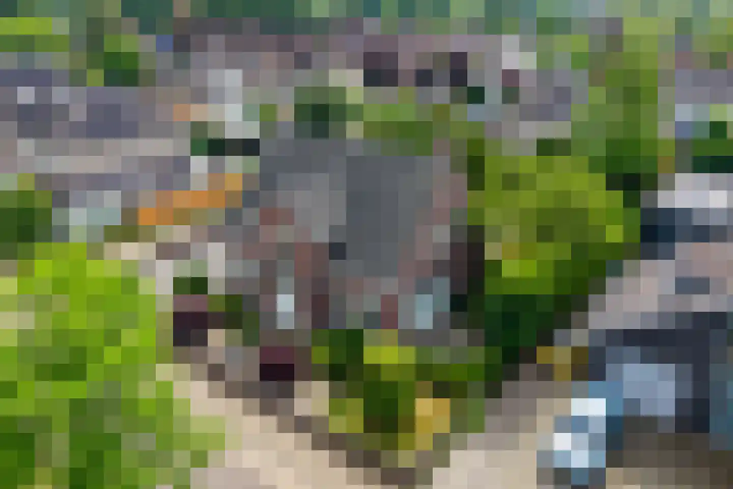 Naaldakker 21 Lage Mierde thumbnail 47