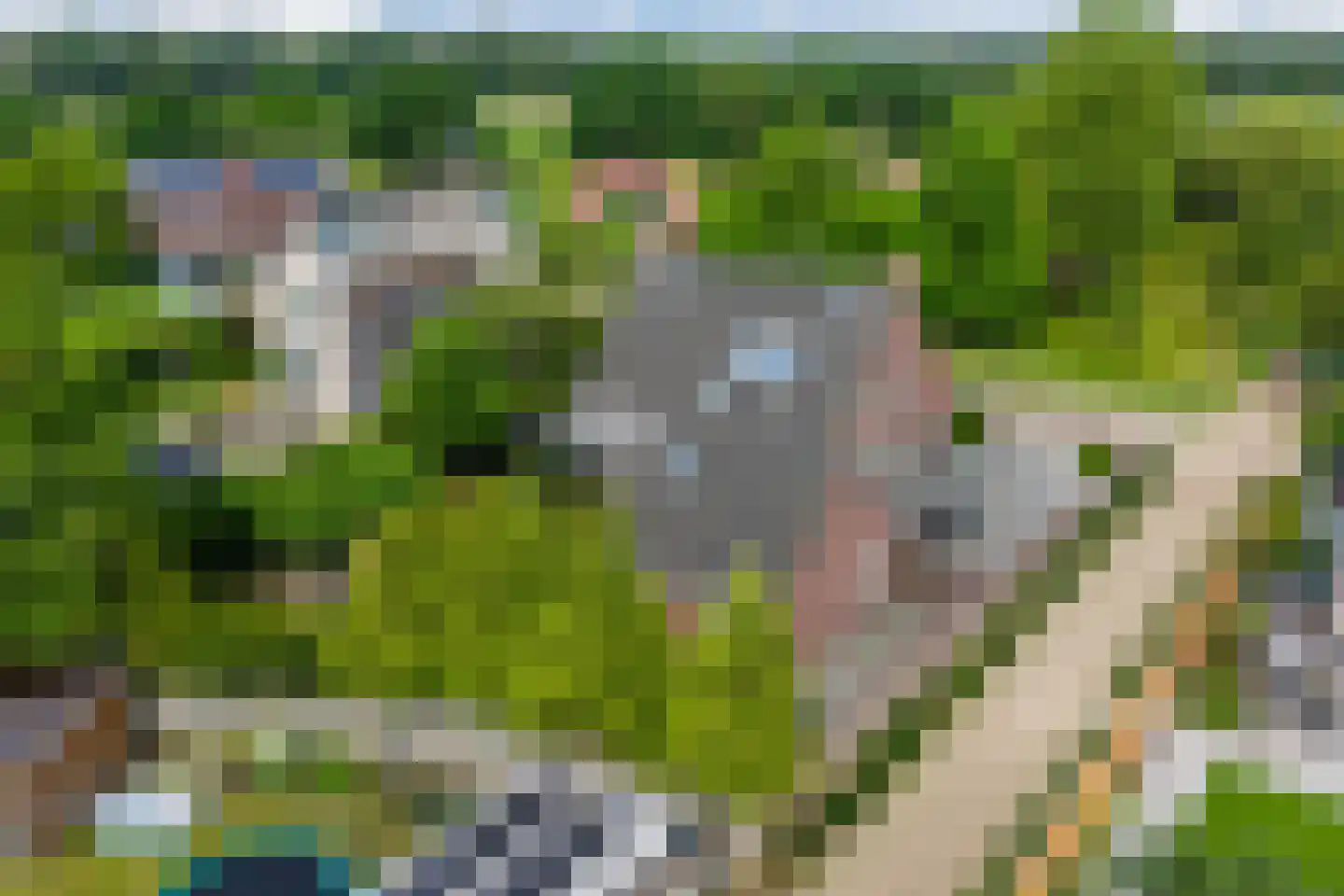 Naaldakker 21 Lage Mierde thumbnail 48