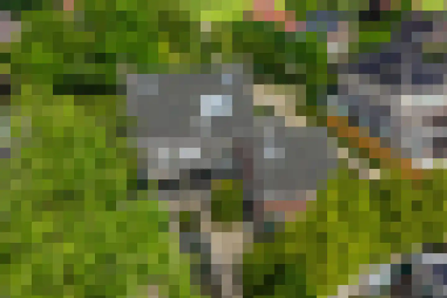 Naaldakker 21 Lage Mierde thumbnail 49