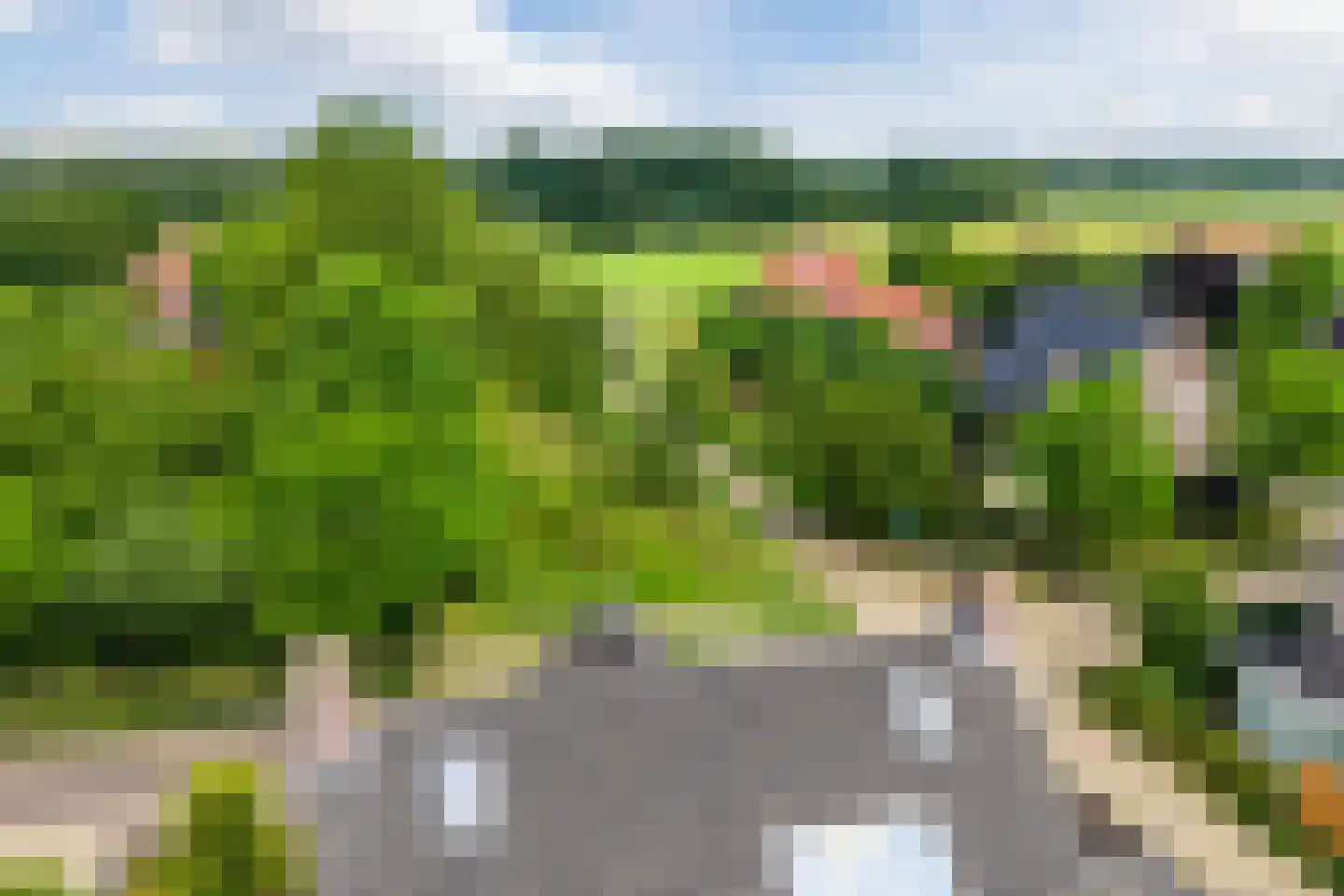 Naaldakker 21 Lage Mierde thumbnail 50