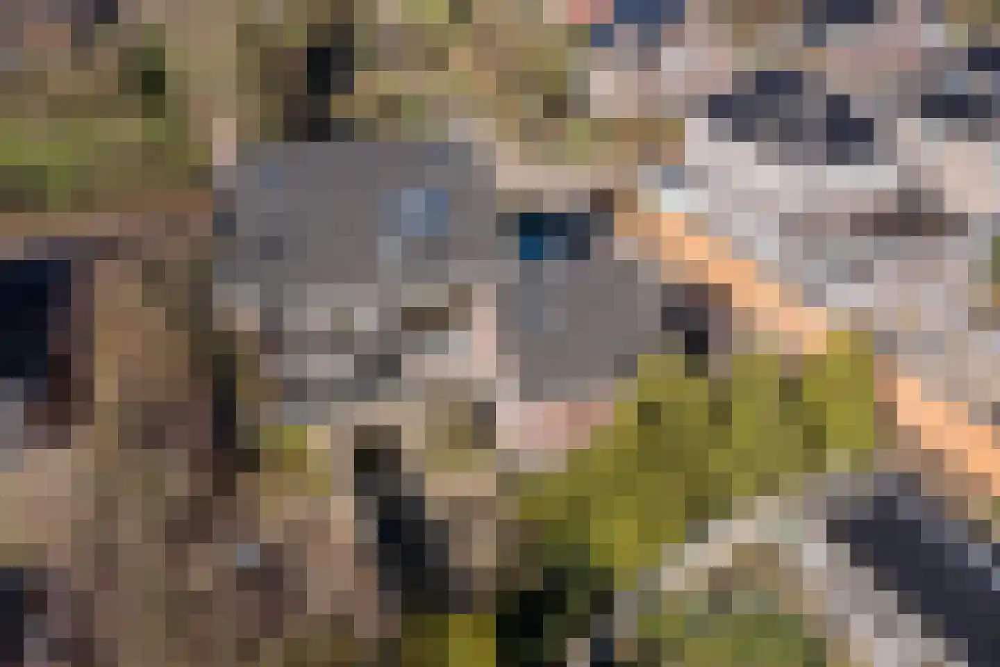 Naaldakker 21 Lage Mierde thumbnail 51