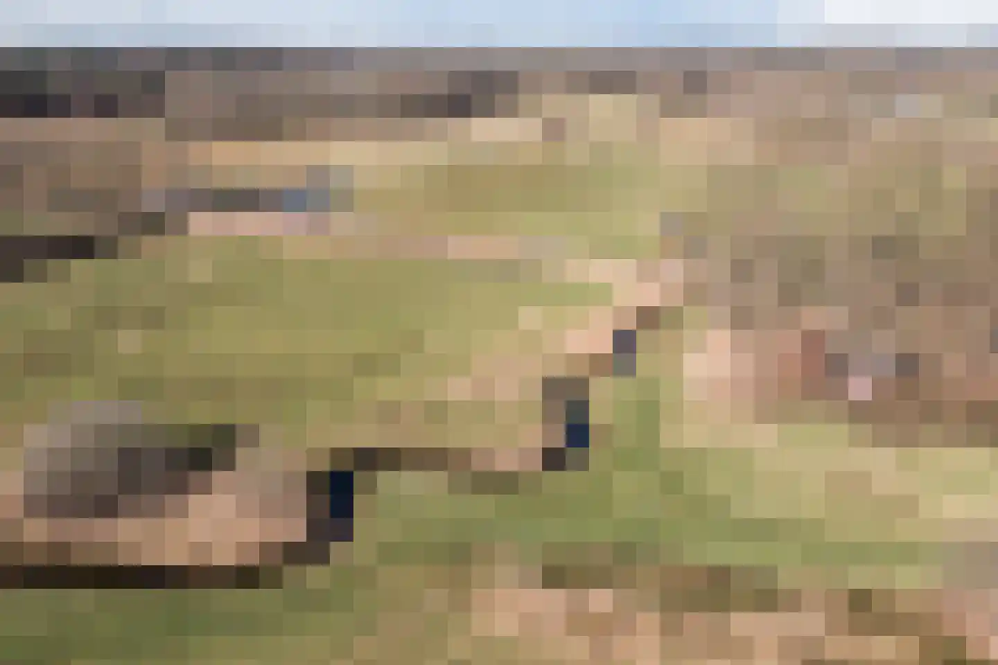 Naaldakker 21 Lage Mierde thumbnail 52