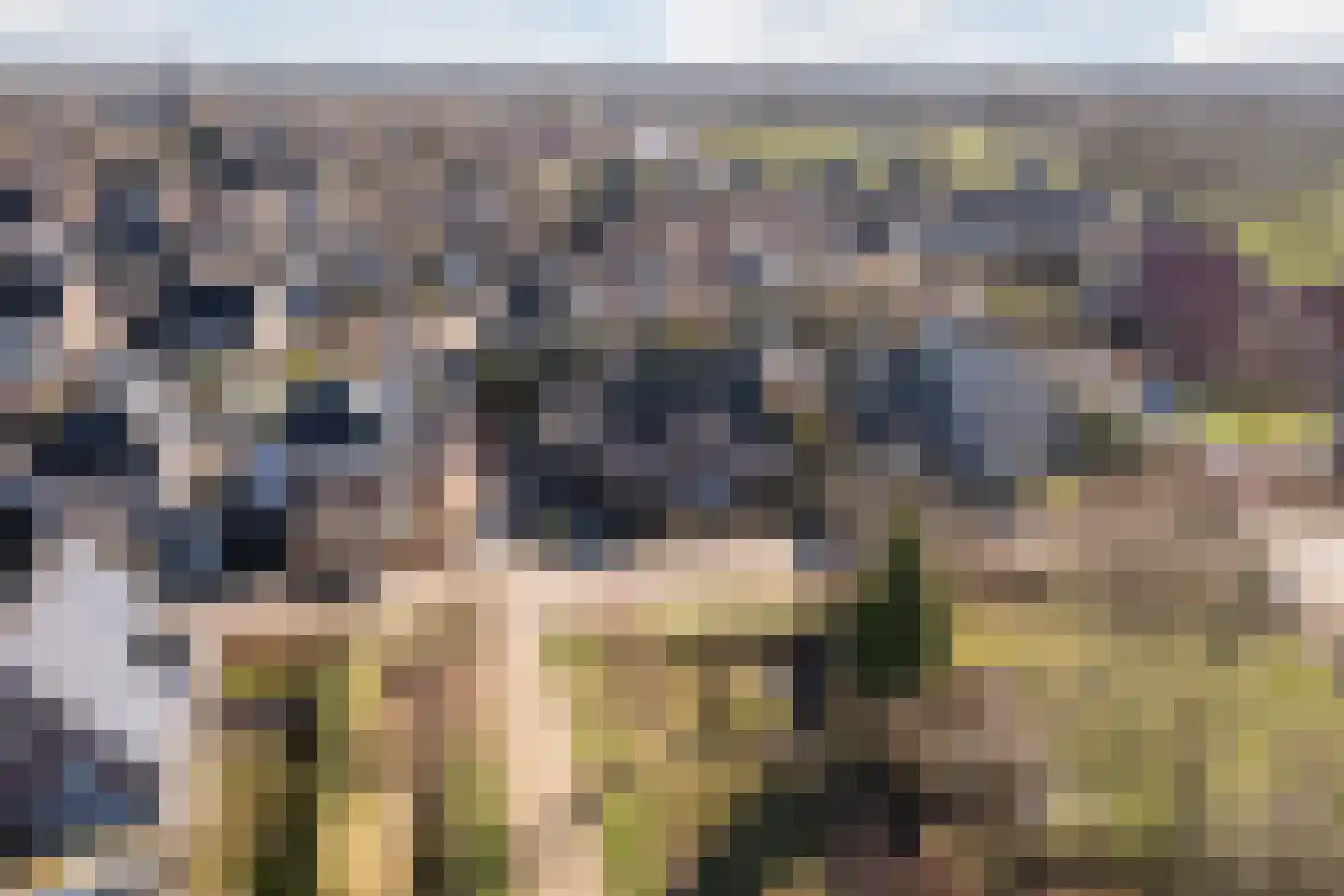 Naaldakker 21 Lage Mierde thumbnail 53