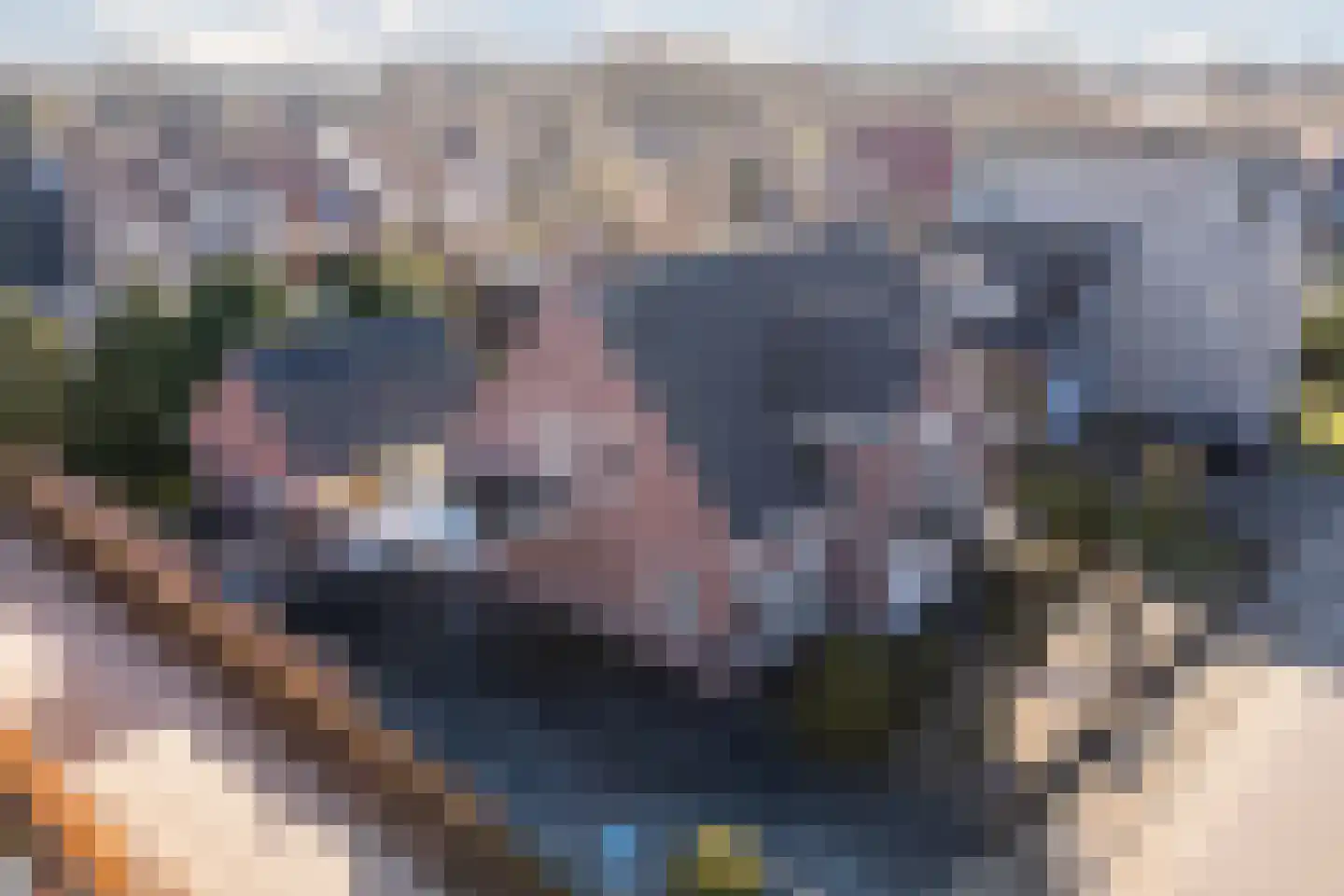 Naaldakker 21 Lage Mierde thumbnail 54