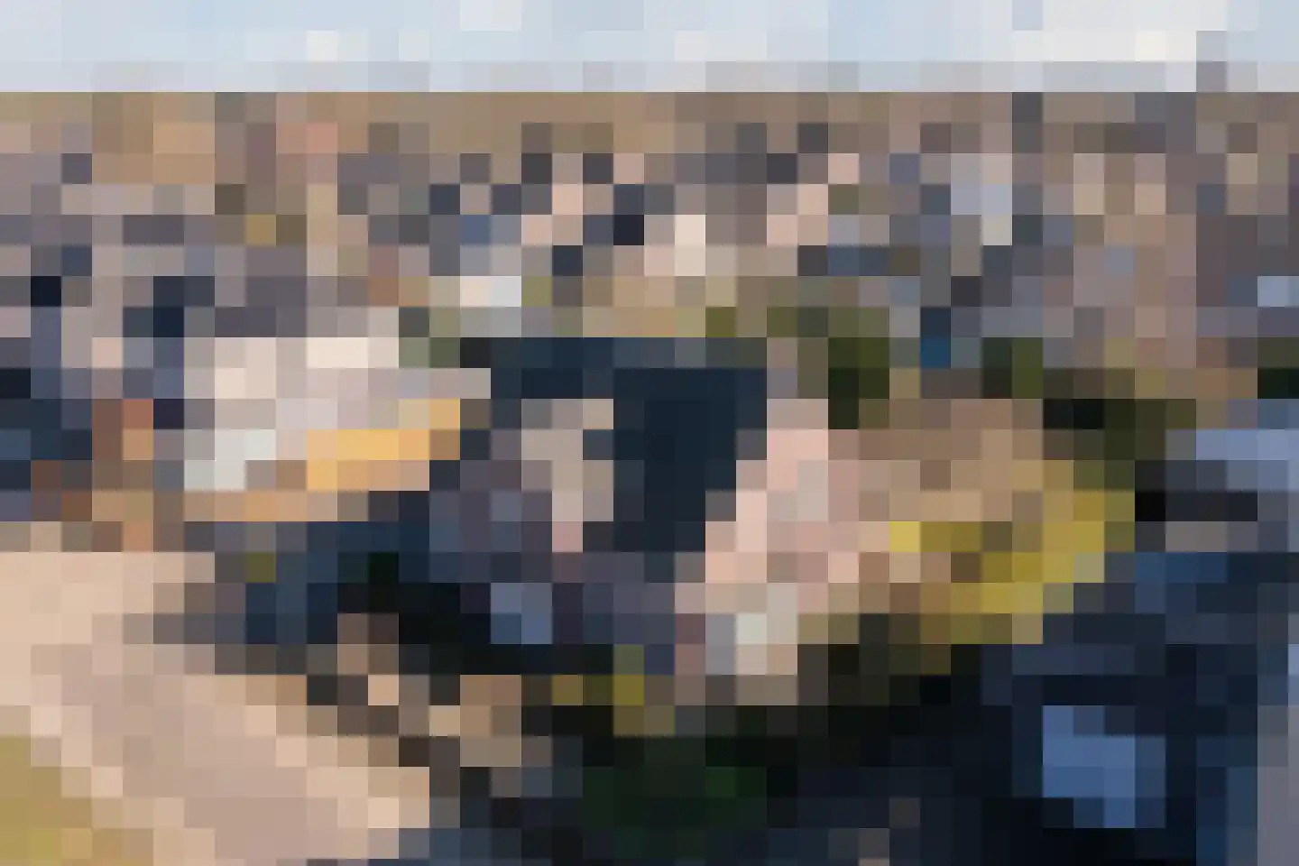 Naaldakker 21 Lage Mierde thumbnail 55