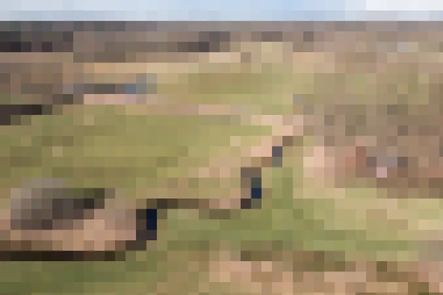 Naaldakker 21 Lage Mierde thumbnail 61