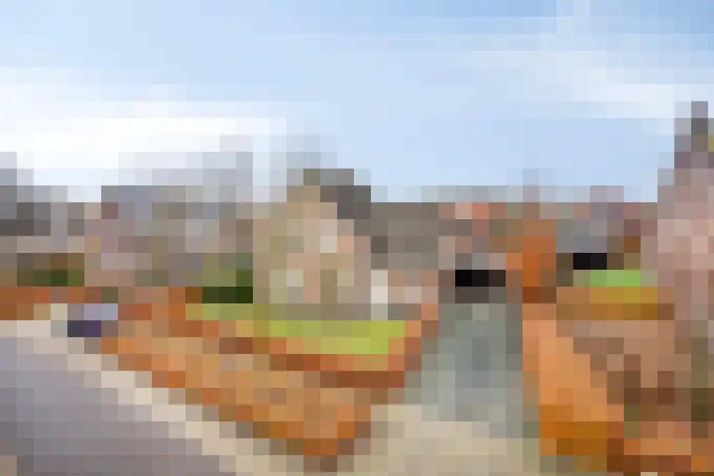 Naaldakker 8 Lage Mierde