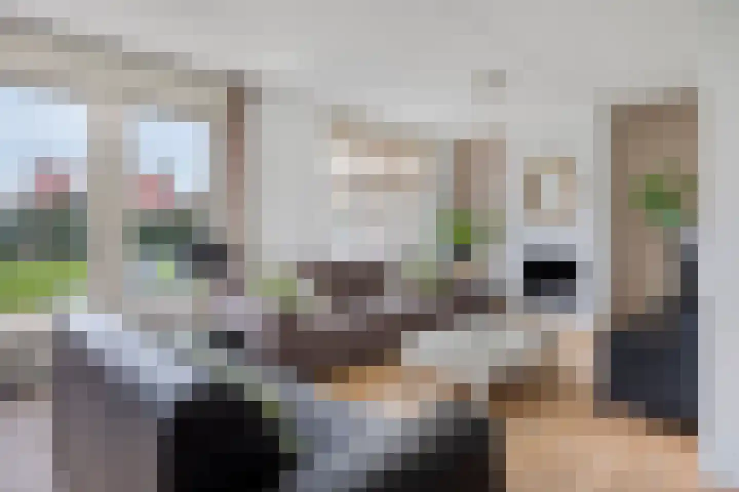 Naaldakker 8 Lage Mierde thumbnail 10