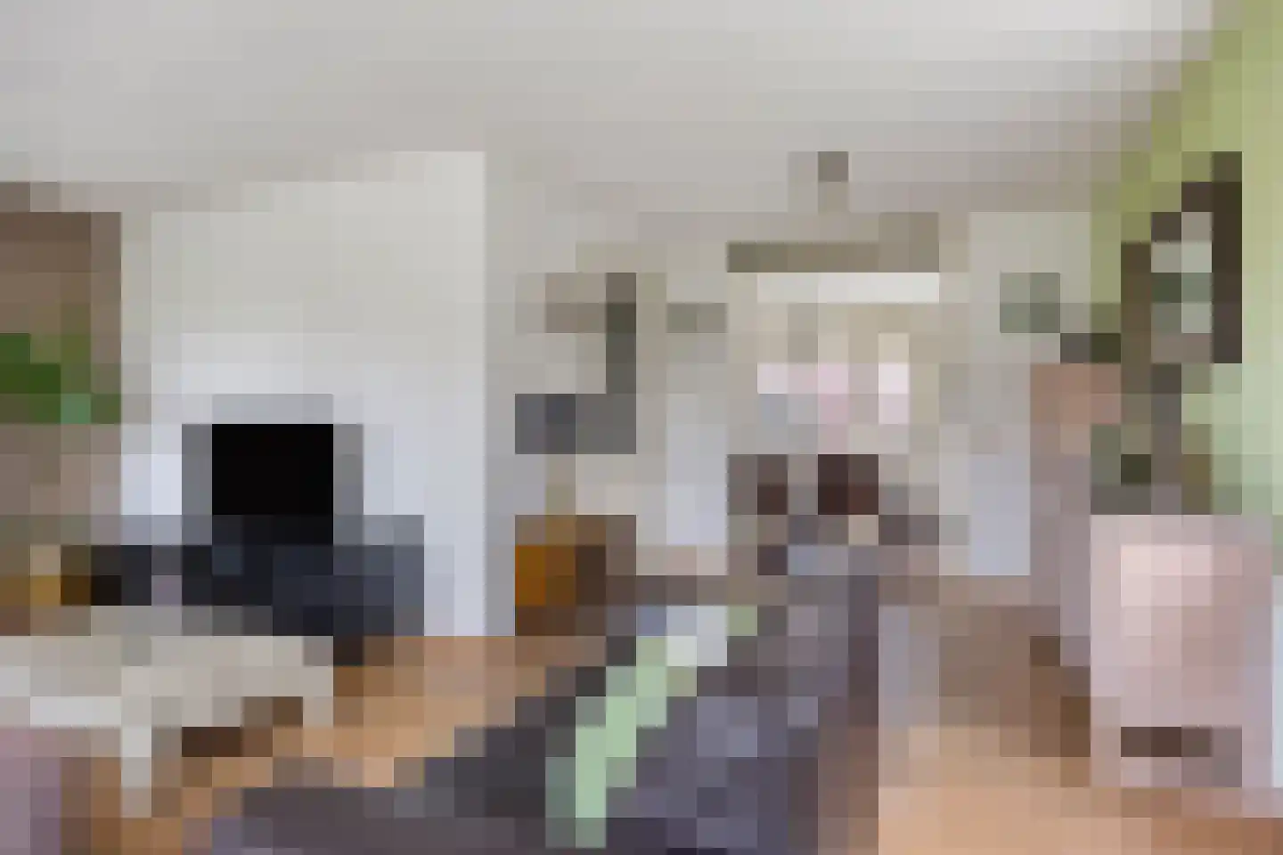 Naaldakker 8 Lage Mierde thumbnail 11
