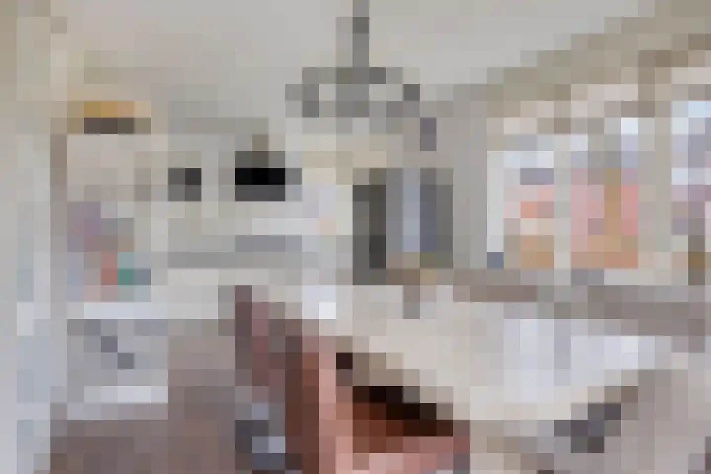 Naaldakker 8 Lage Mierde thumbnail 12