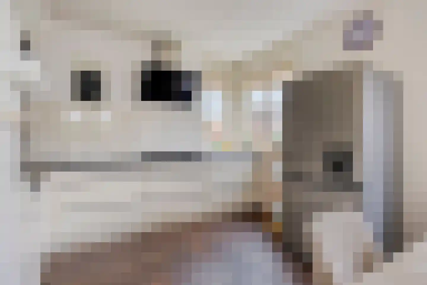 Naaldakker 8 Lage Mierde thumbnail 16