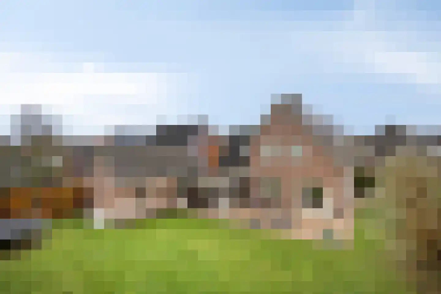 Naaldakker 8 Lage Mierde foto 2