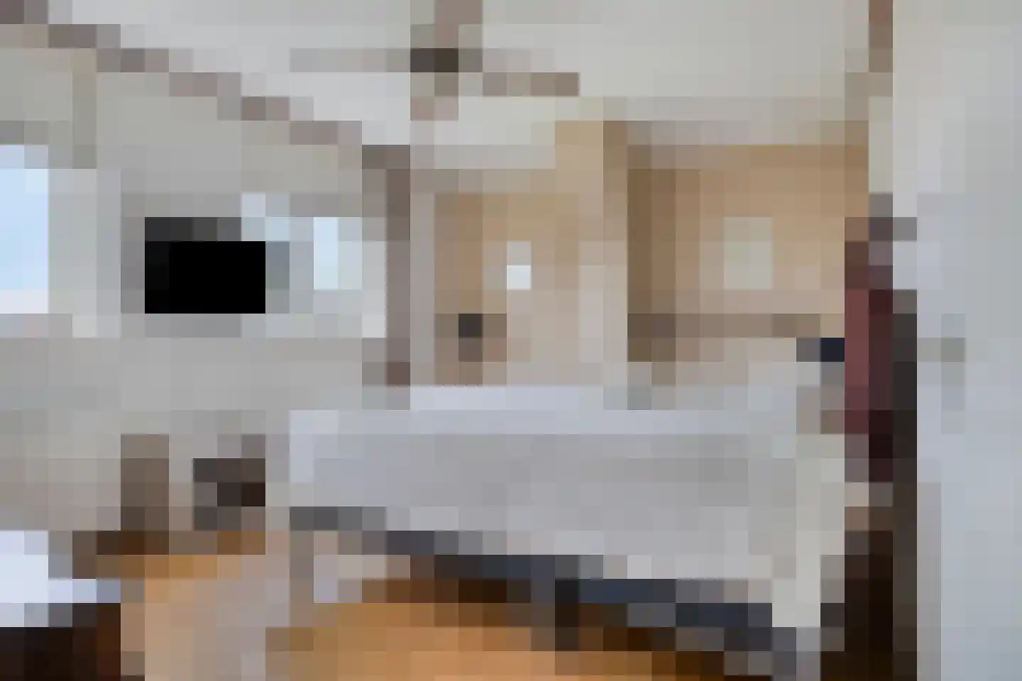 Naaldakker 8 Lage Mierde thumbnail 22