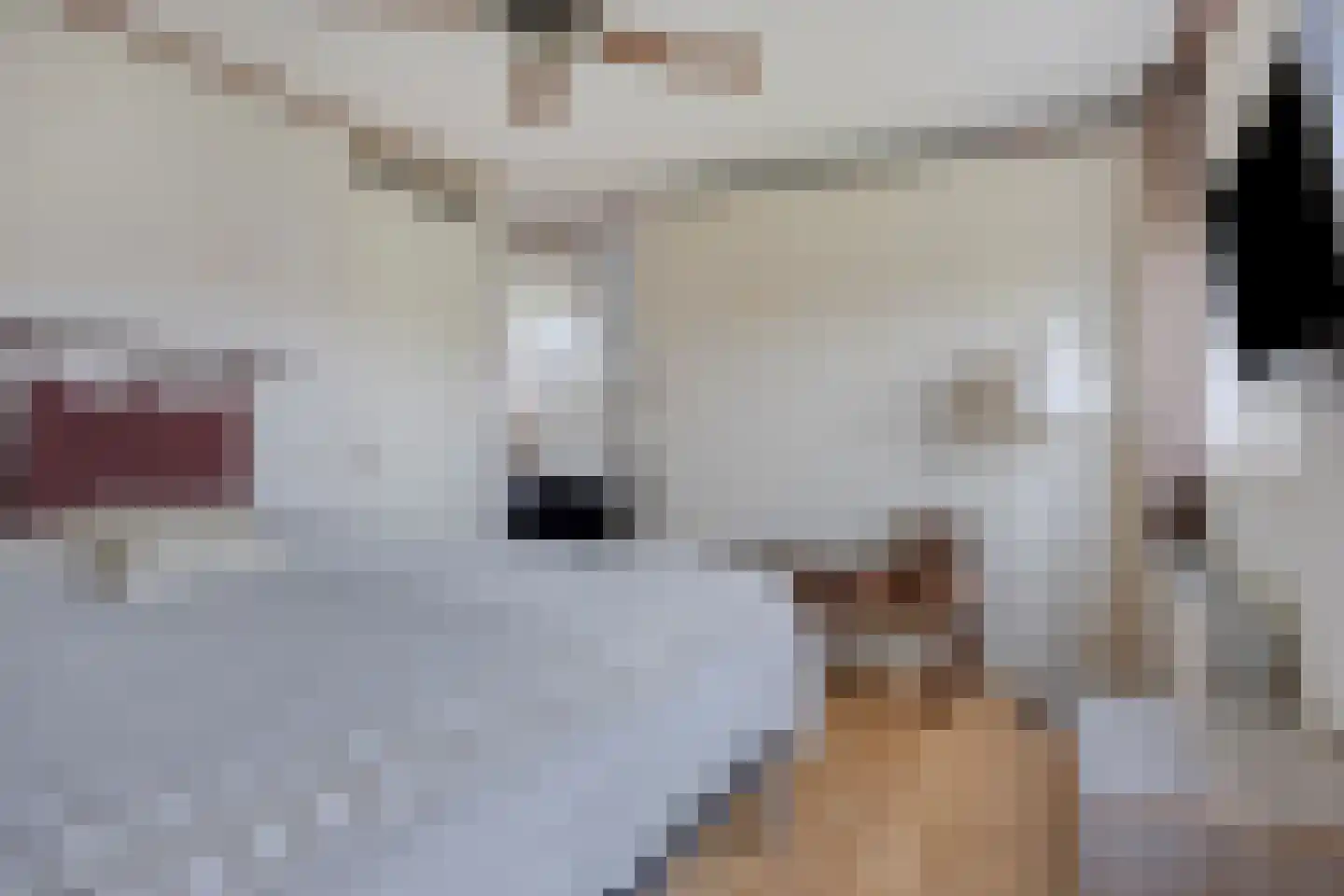 Naaldakker 8 Lage Mierde thumbnail 23