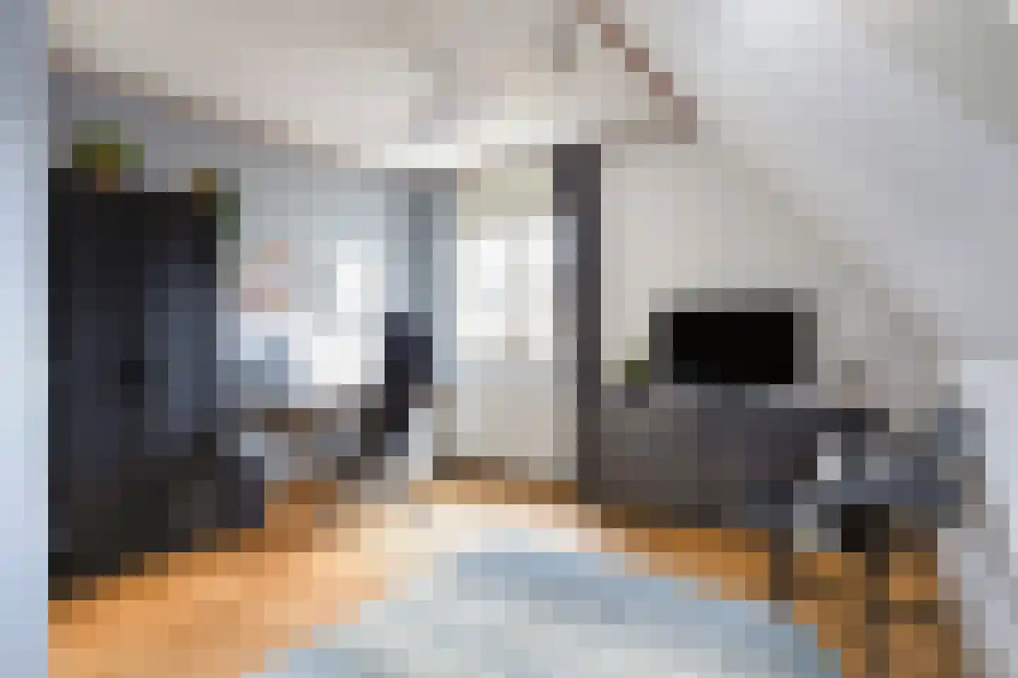 Naaldakker 8 Lage Mierde thumbnail 27