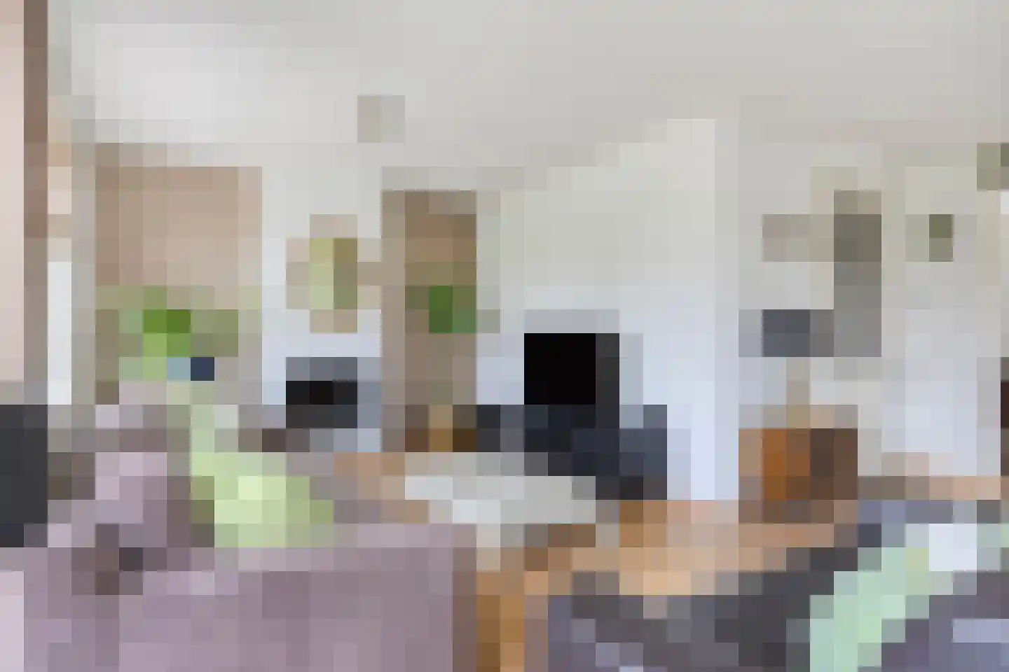 Naaldakker 8 Lage Mierde foto 3
