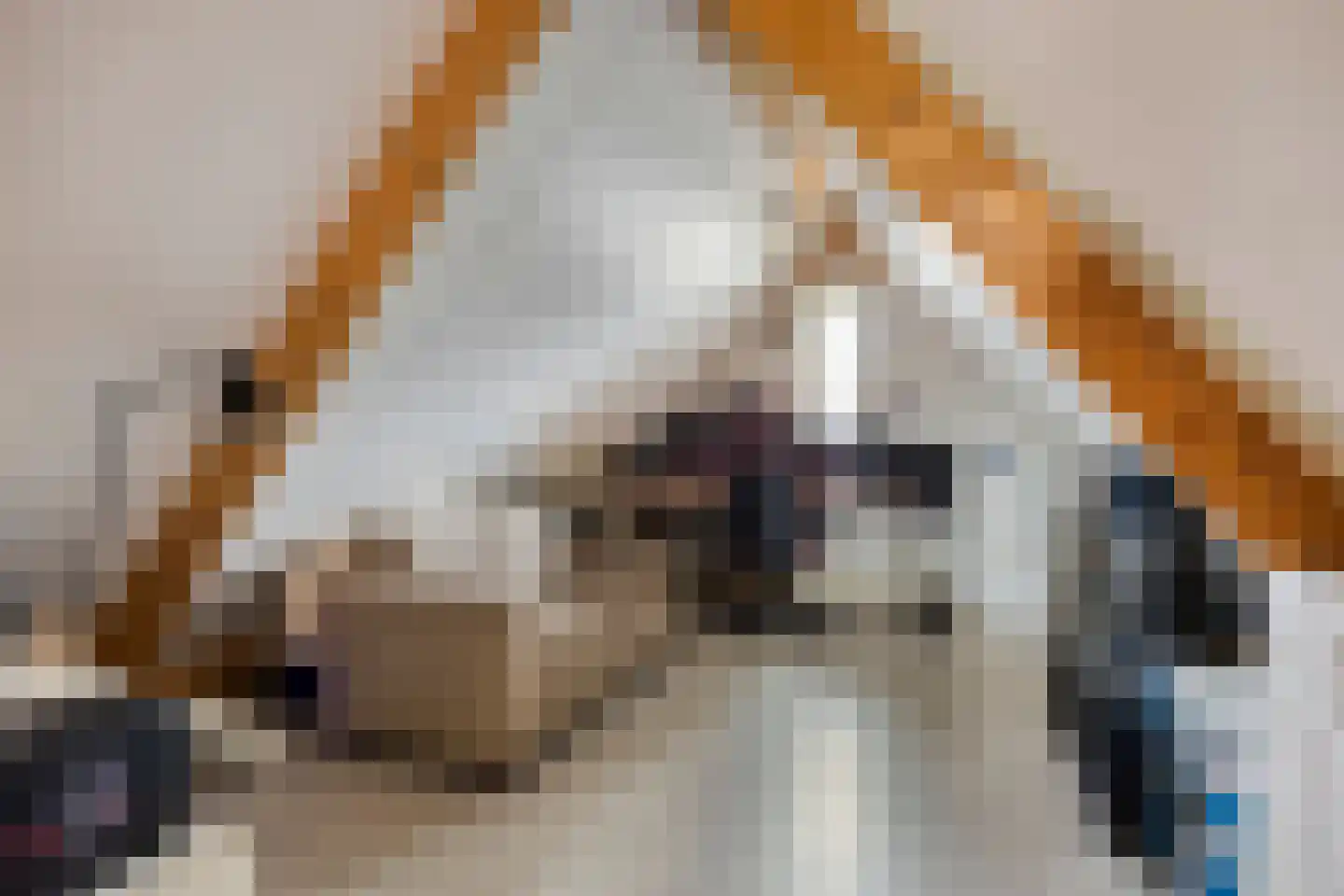 Naaldakker 8 Lage Mierde thumbnail 33