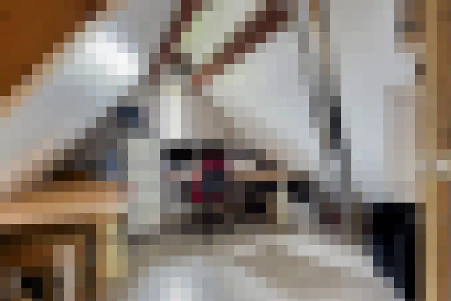 Naaldakker 8 Lage Mierde thumbnail 34