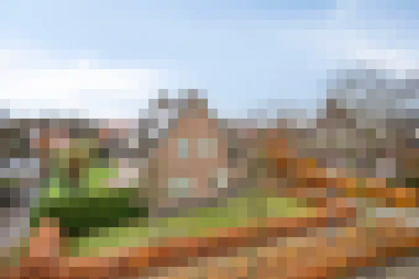 Naaldakker 8 Lage Mierde thumbnail 35