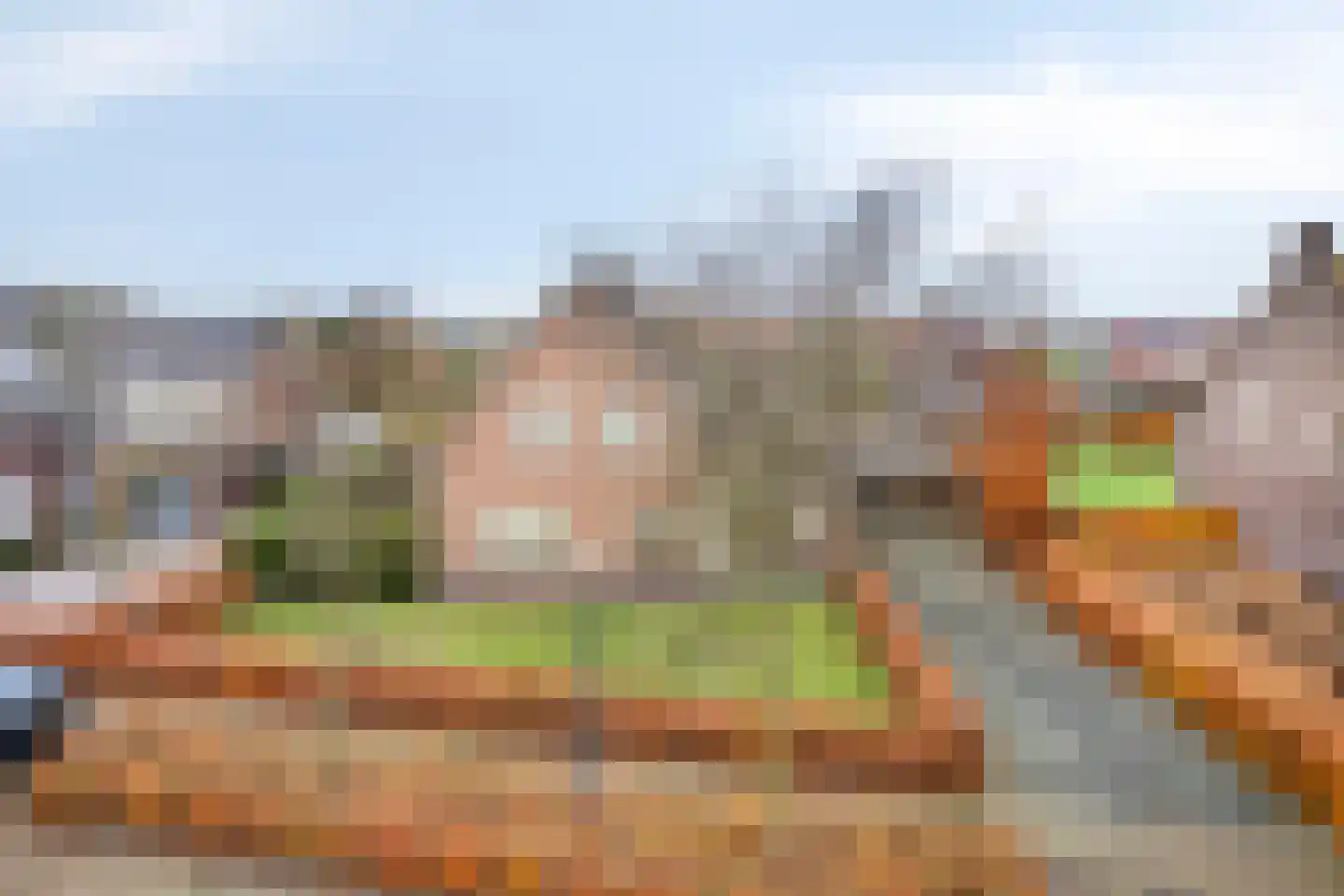 Naaldakker 8 Lage Mierde thumbnail 36