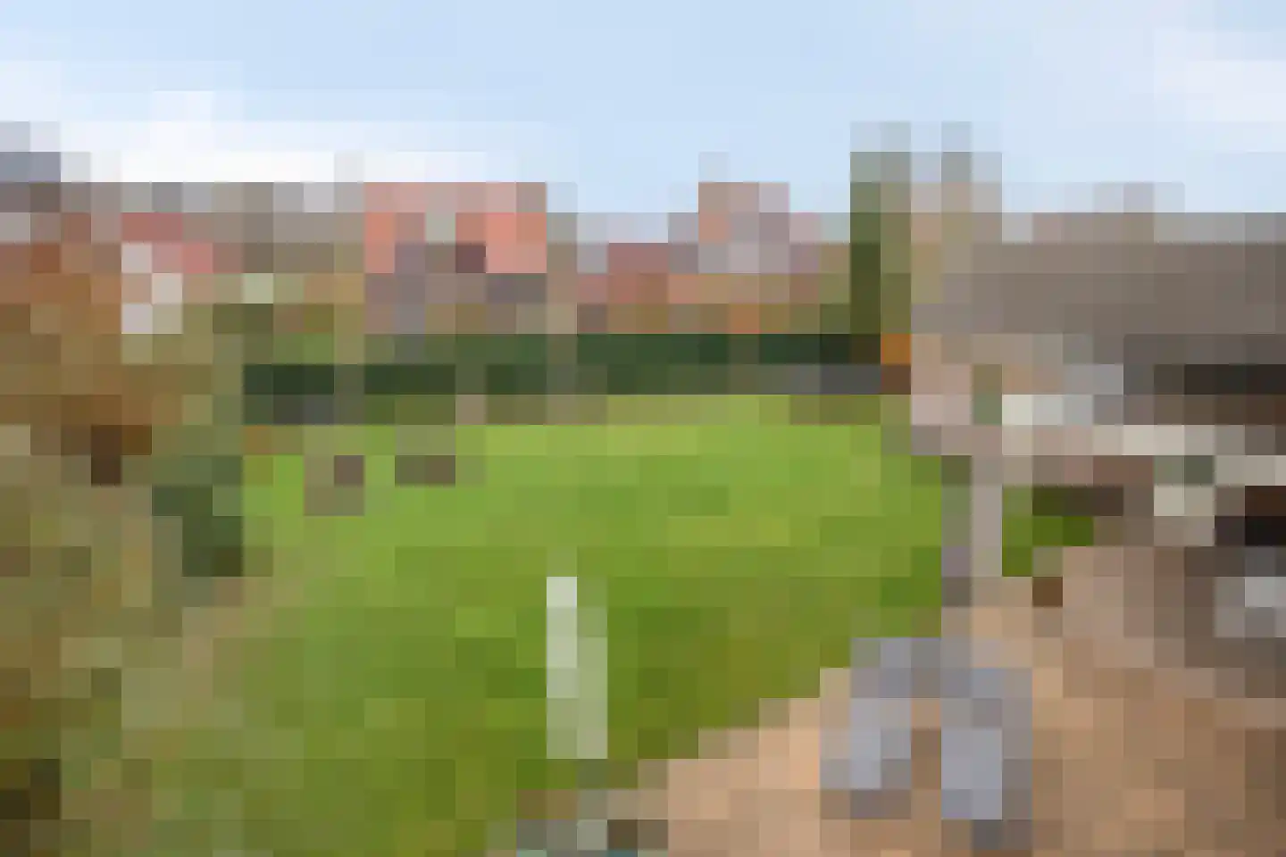 Naaldakker 8 Lage Mierde thumbnail 37