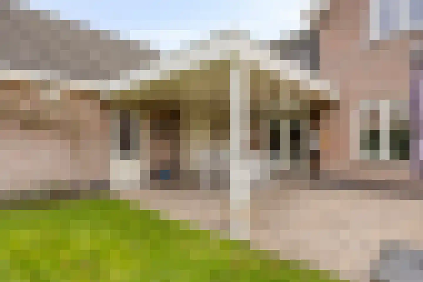 Naaldakker 8 Lage Mierde thumbnail 40