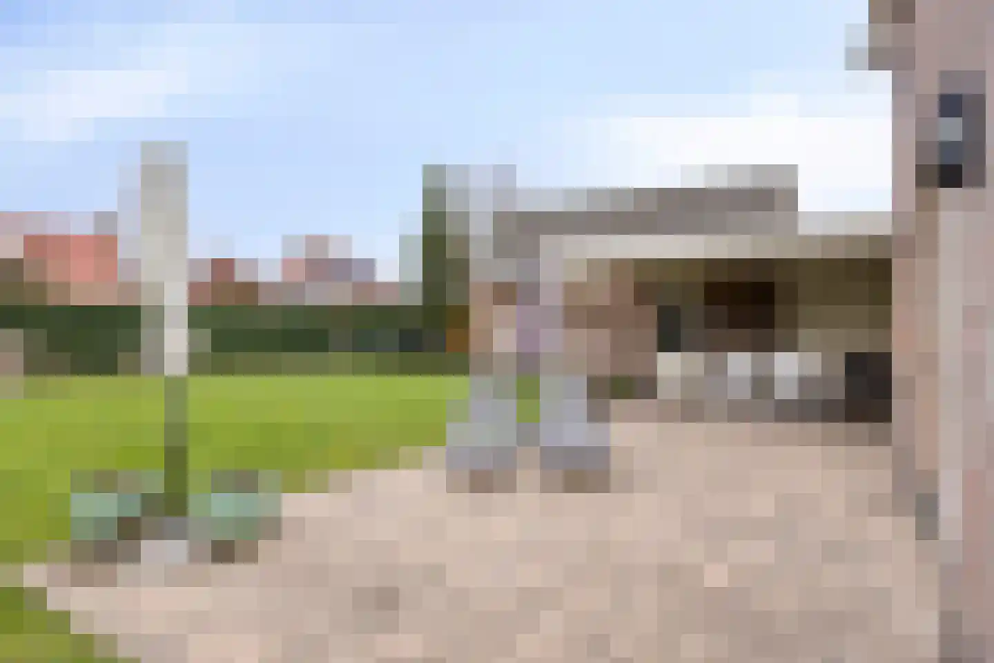 Naaldakker 8 Lage Mierde thumbnail 42