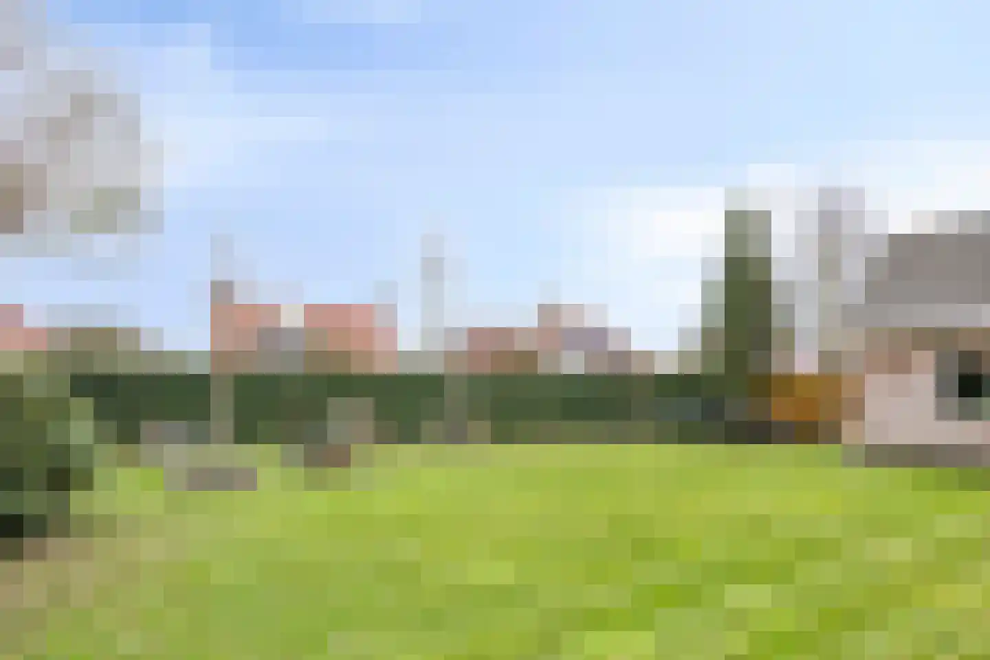 Naaldakker 8 Lage Mierde thumbnail 44