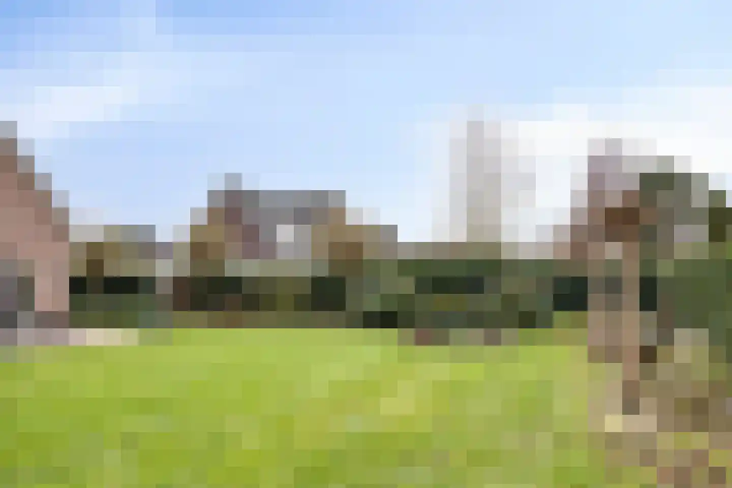 Naaldakker 8 Lage Mierde thumbnail 46