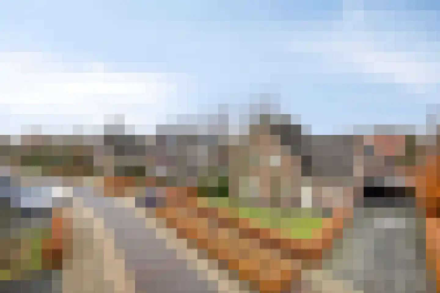 Naaldakker 8 Lage Mierde thumbnail 48