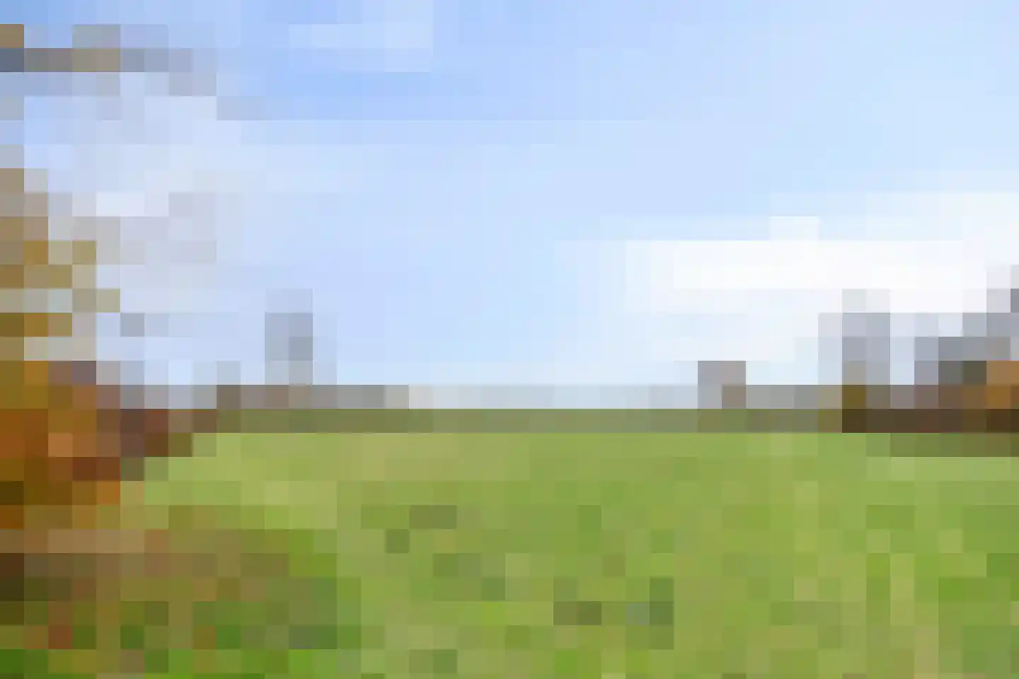 Naaldakker 8 Lage Mierde thumbnail 49