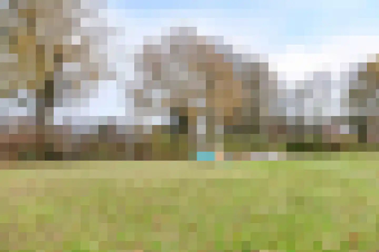 Naaldakker 8 Lage Mierde thumbnail 50