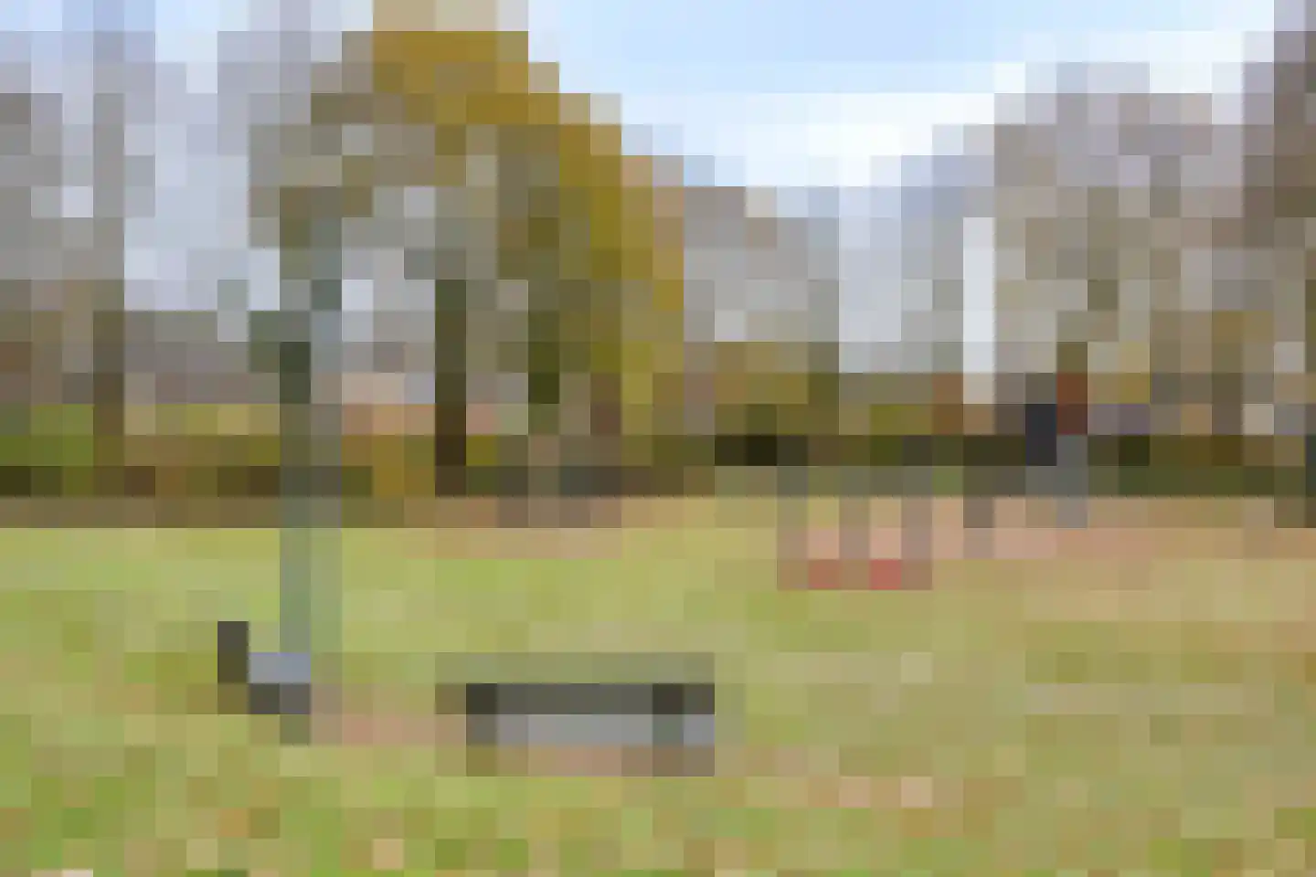 Naaldakker 8 Lage Mierde thumbnail 51