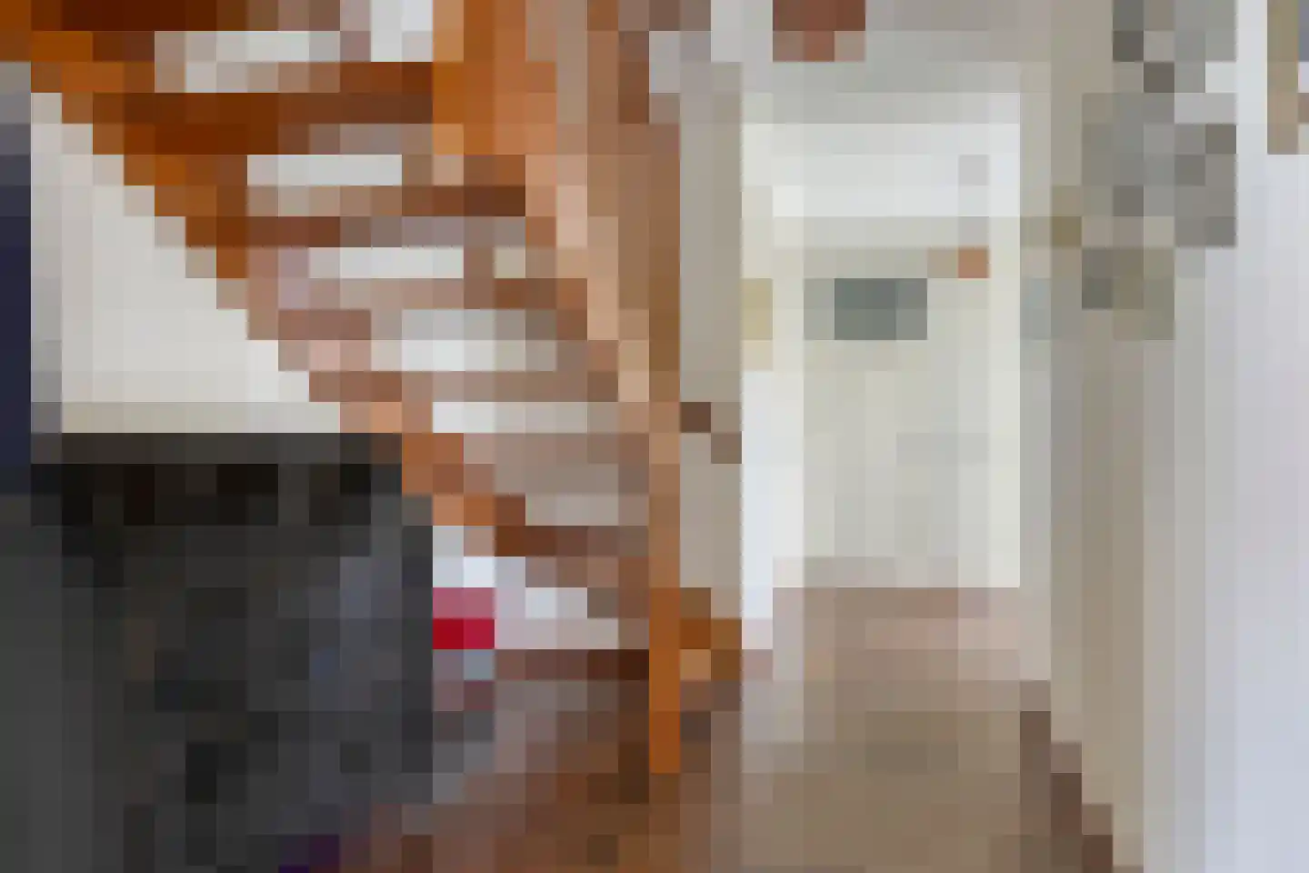 Naaldakker 8 Lage Mierde thumbnail 6