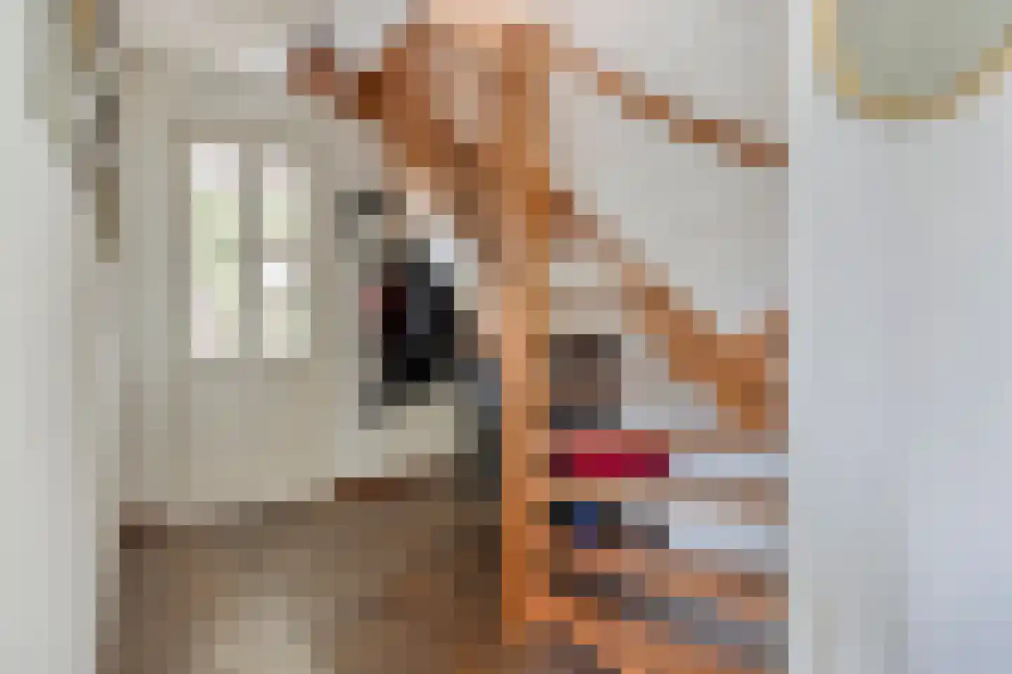 Naaldakker 8 Lage Mierde thumbnail 7