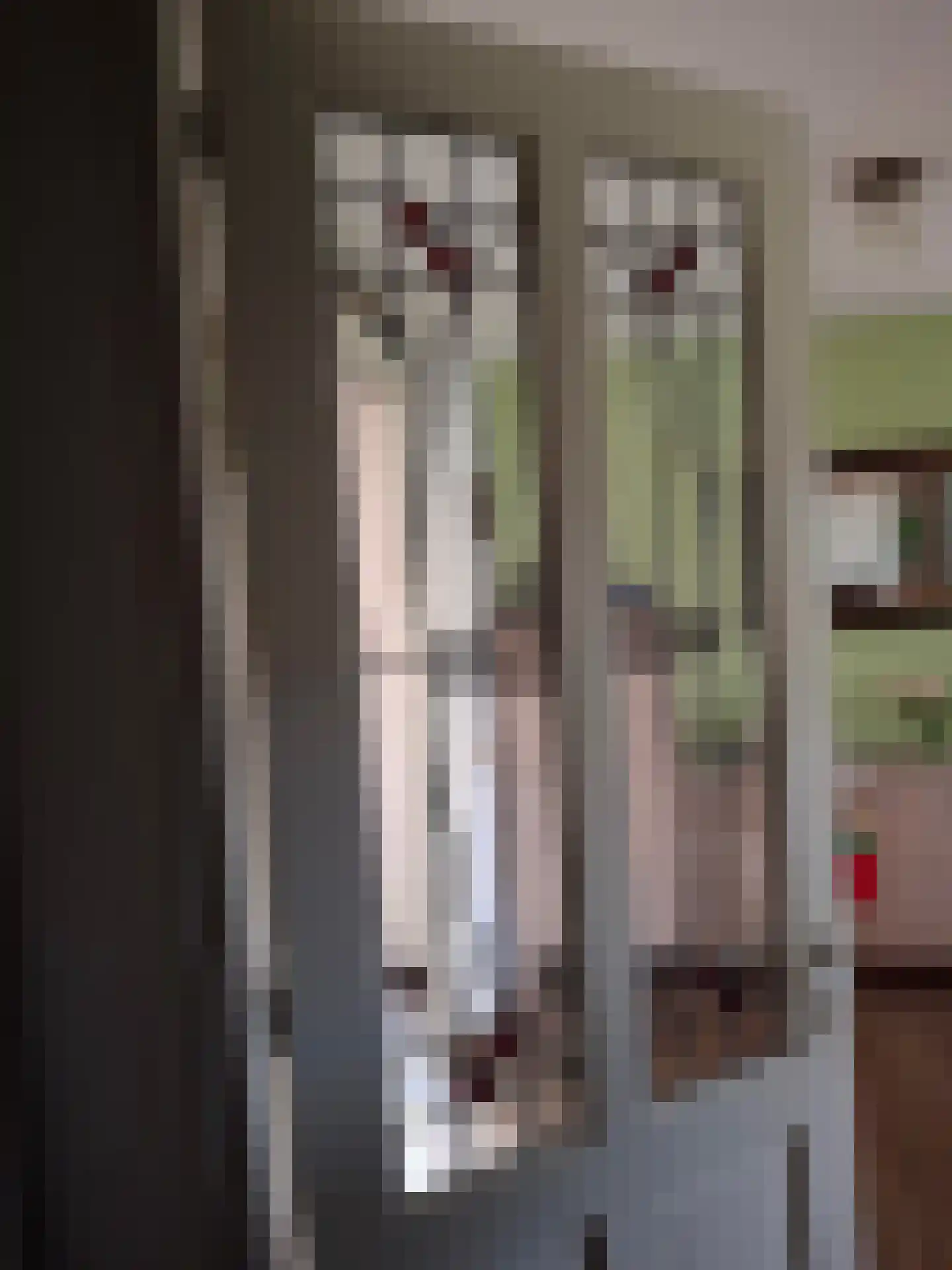 Naaldakker 8 Lage Mierde thumbnail 8