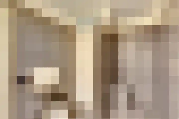 Naaldhof 10 Nunspeet thumbnail 18