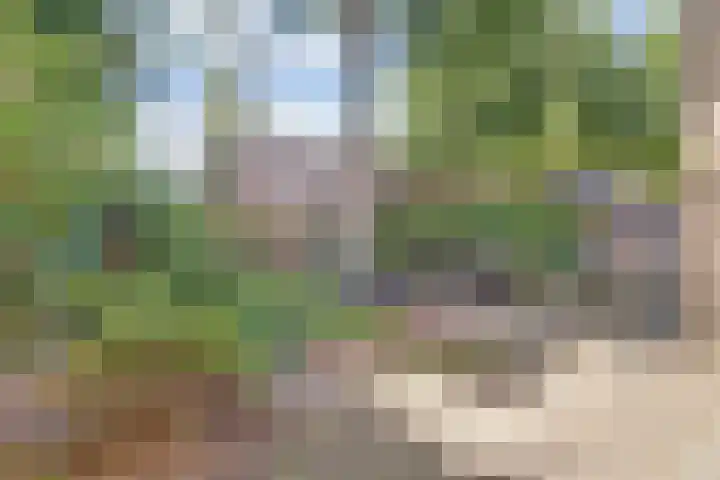 Naaldhof 10 Nunspeet thumbnail 24